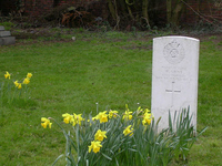 Sapper W. Grove War Grave